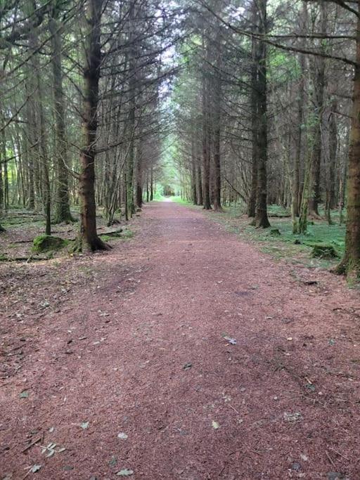 Apartment Glenwood Near Ballybofey *