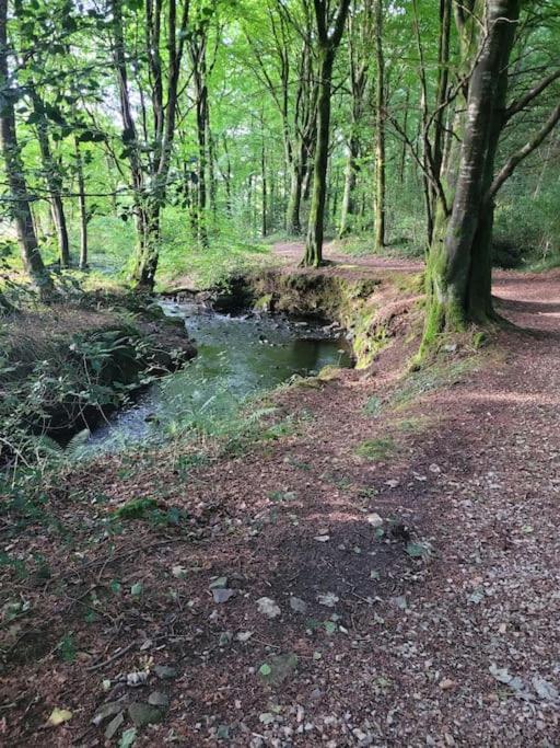 Glenwood Near Ballybofey Apartment